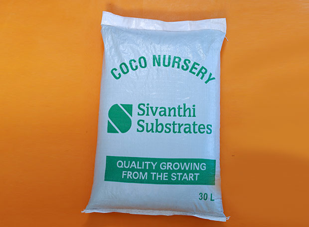 Sivanthi Joe Coirs